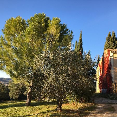 Sous Le Figuier... Daire Buisson Dış mekan fotoğraf