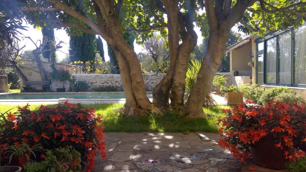 Sous Le Figuier... Daire Buisson Dış mekan fotoğraf
