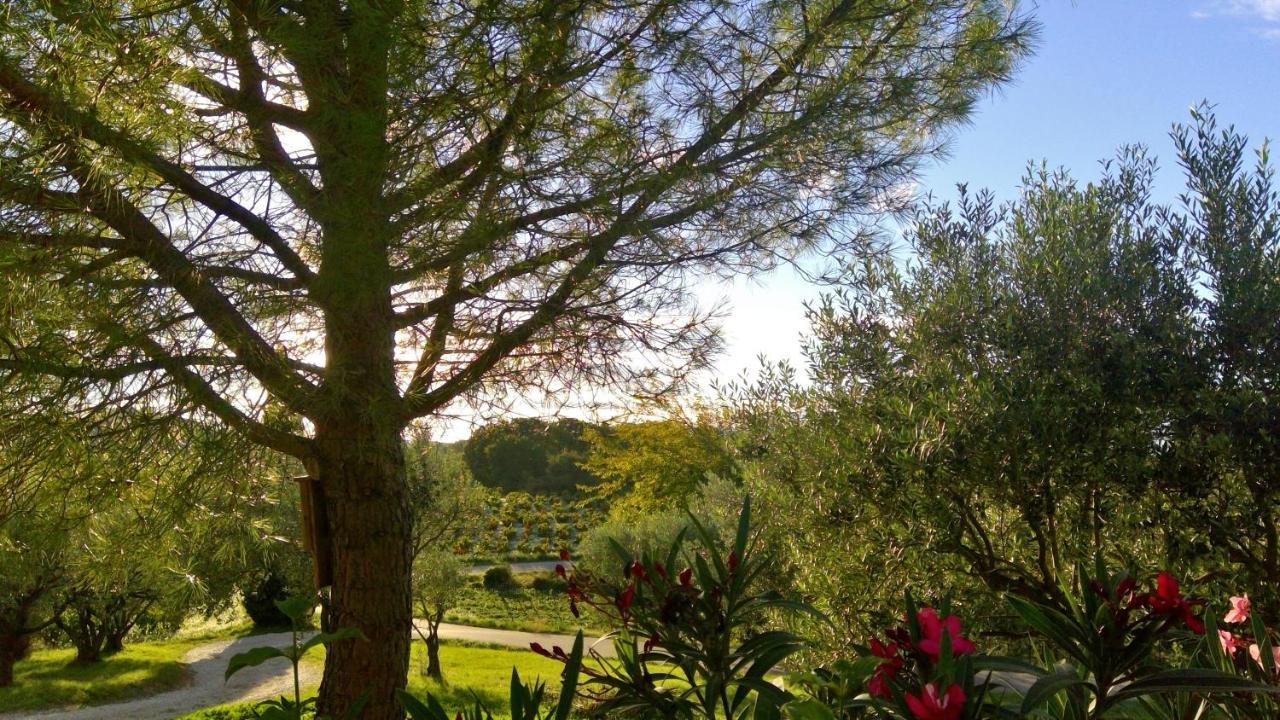 Sous Le Figuier... Daire Buisson Dış mekan fotoğraf